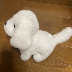 イヌのおもちゃの画像