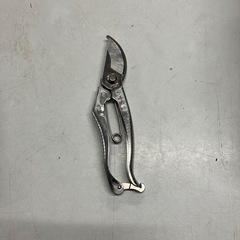 ロ2602-0302 千吉　剪定ばさみ　オールステンレス　ケース付き　中古の画像