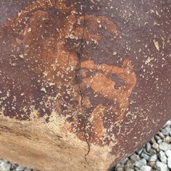 備前焼カメの画像