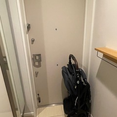 アップリカ A型ベビーカー ラクーナ クッション フリー プラスの画像