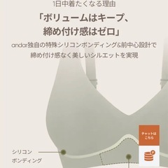 アンダールオールデイフィット ブラの画像