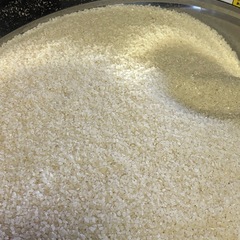 令和7年度産🌾コシヒカリ15kg！精米済み(白米)の画像