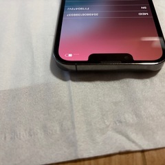 iPhone13Pro ソフトバンク　利用判定◯の画像