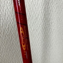 スキーストックの画像