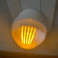 センサーライトの画像