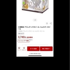 ハムスター　セットの画像