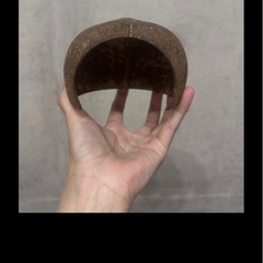 ハムスター　セットの画像