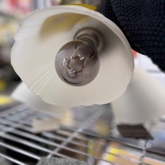 《尼崎市/リサイクルショップドリーム次屋店》★ジモティー割引有★LEDシャンデリア　OC006506 2024年製　☆尼崎市若王寺☆の画像