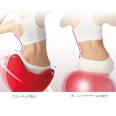 【決まりました】バランスチェア　クビレディの画像