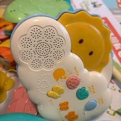 プーメリーの画像