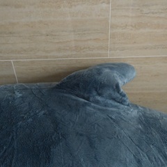 IKEA サメぬいぐるみの画像