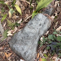 庭石　　岩　造園の画像