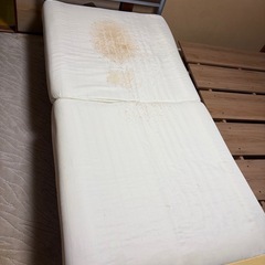 ★２月11日急募　ソファーベッドの画像