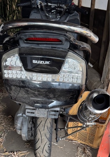 スカイウェブ　　250