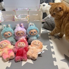 エナジーシリーズラブブの①アソートBOX開封済み新品！の画像