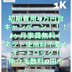 【⭐初期費用4万円台キャンペーン⭐】1ヶ月家賃無料×ネット…
