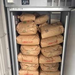 令和７年度コシヒカリ新米１０kgの画像