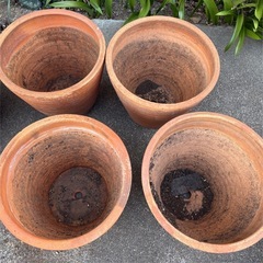 【お譲り先決定しました】素焼きの鉢、もらってくださいの画像