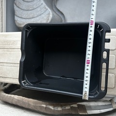 めだか ダイソー 飼育ケースの画像