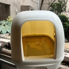 ネコのトイレの画像