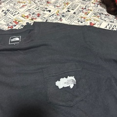 ノースフェイスTシャツの画像