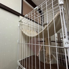 キャットゲージ　ハンモック付き【アイリスオーヤマ】の画像