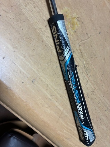 スポーツ ping SIGMA 2 ANSER