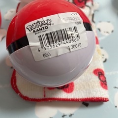 ポケモン ポケパークカントー      ユンゲラーの画像