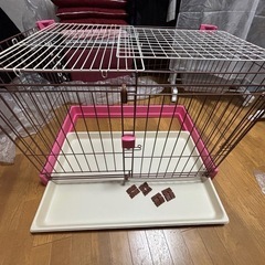 うさぎ　小動物　ゲージの画像