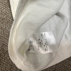 ファミリア　tシャツ アウトドアの画像