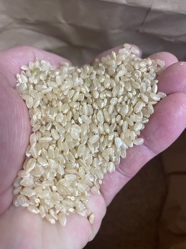令和７産あきろまん　玄米３０Kg