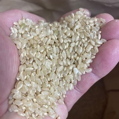 令和７産　あきろまん　玄米３０Kgの画像