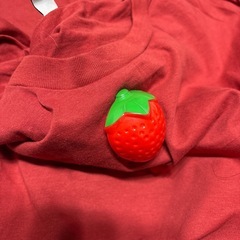 半袖でTシャツ　いちご狩りの画像