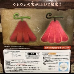 ONE PIECE 悪魔の実 ウシウシの実  ②の画像