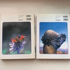 学研の図鑑 昆虫と恐竜 2冊セットの画像