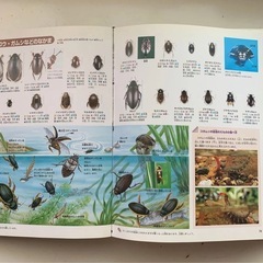 学研の図鑑 昆虫と恐竜 2冊セットの画像