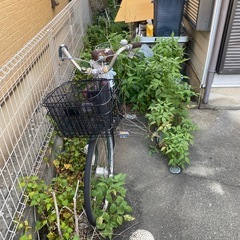 【無料】ママチャリ　自転車　ジャンク　配送可の画像