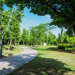 ウォーキング、散歩仲間になってください