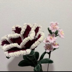 モールフラワー　バラの画像