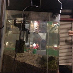 ガラス60cm水槽 照明
の画像