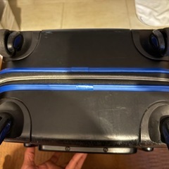 キャリーバックの画像