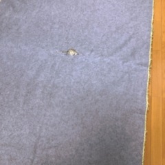 ふわふわ厚手のラグ　カーペット　グリーンの画像