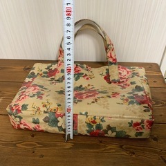 キャスキットソンバッグの画像