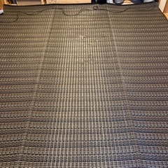 イケヒココーポレーションいぐさ風ラグの画像