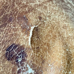 【至急！2/15まで】飛騨産業　HIDA ラダーバックチェア　【PROVINCIAL】　プロビンシャルの画像