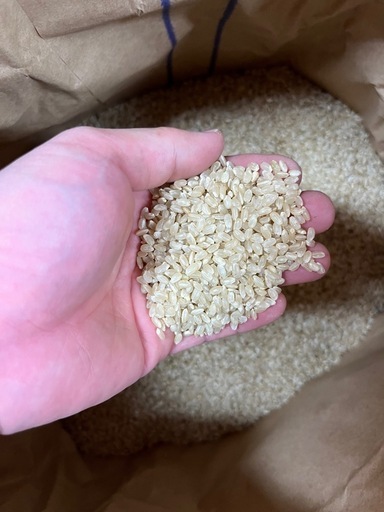 【精米無料】令和7年福島県産コシヒカリ30キロ