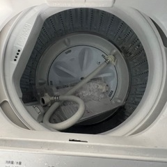 2024 RORO 5.5kg 洗濯機の画像