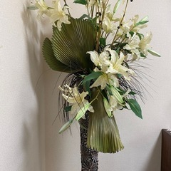 エミリオロバ　　カサブランカの画像