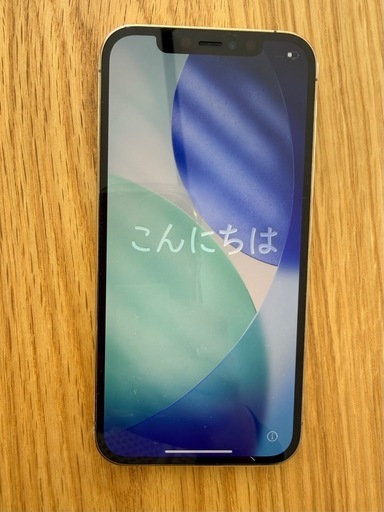 iPhone12 Pro 256GB SIMフリー 制限◯ 美品