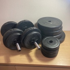 WASAI パワーラック ぶら下がり健康器　ダンベル付きの画像